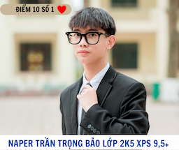 Naper Trần Trọng Bảo